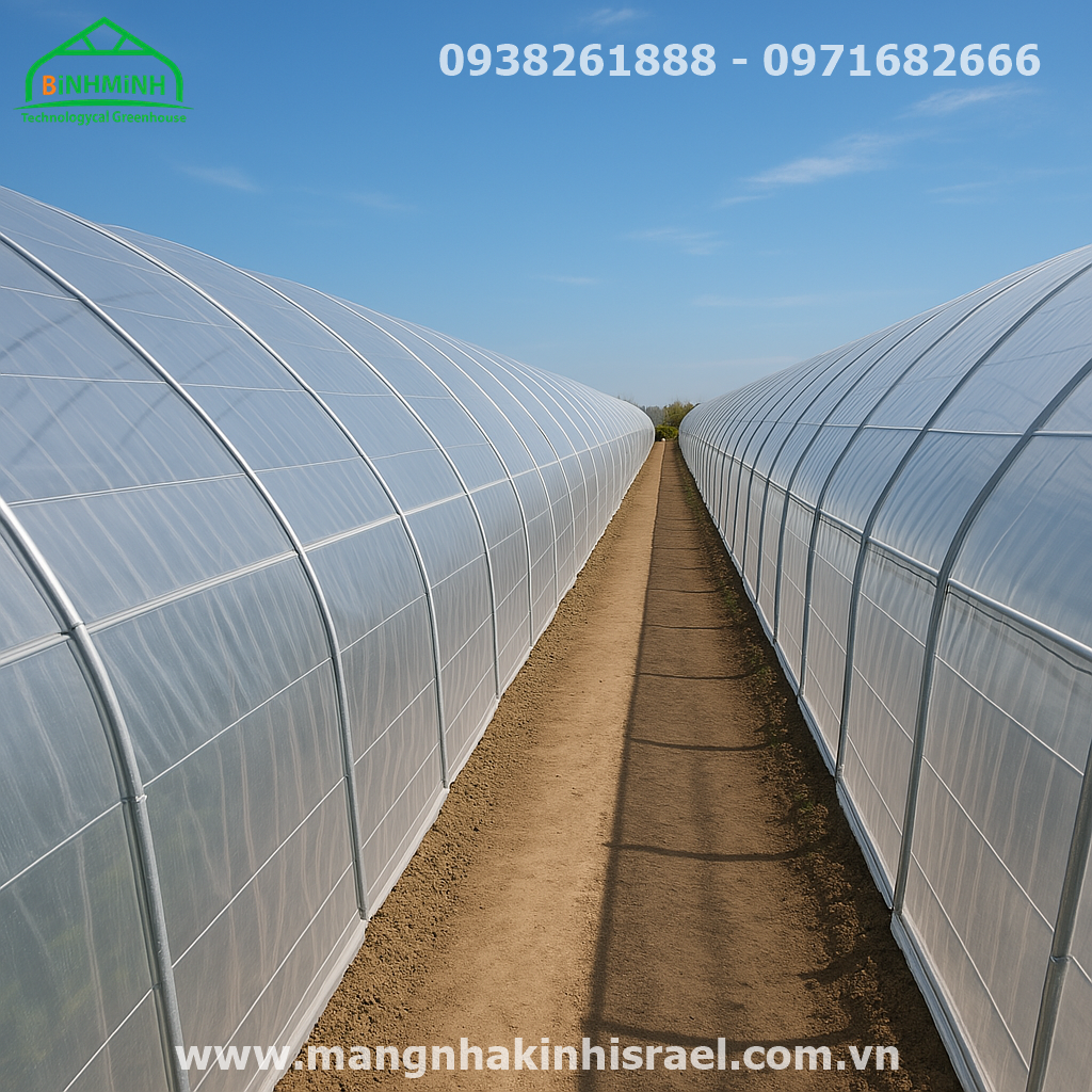 Lập nghiệp giữa vùng nắng hạn: Thanh niên Khánh Hòa biến vùng đất khô cằn thành trang trại rau sạch với màng nhà kính
